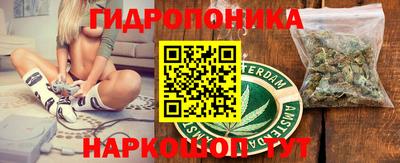 индика Кунгур