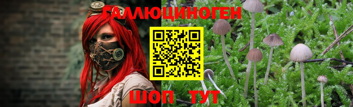 Галлюциногенные грибы Magic Shrooms Йошкар-Ола